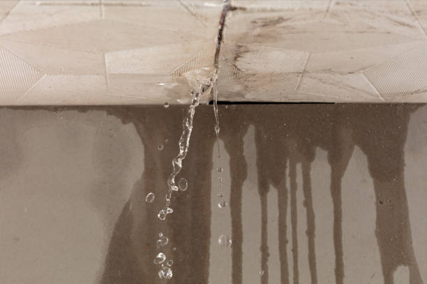 Professional Structural Drying technician working in Runge, TX